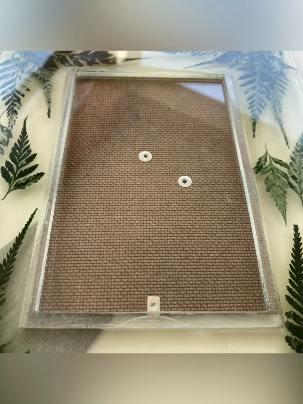 Lucite MCM Thick Fern Fronds Pressed Botanical Photo Picture Frame 4x6